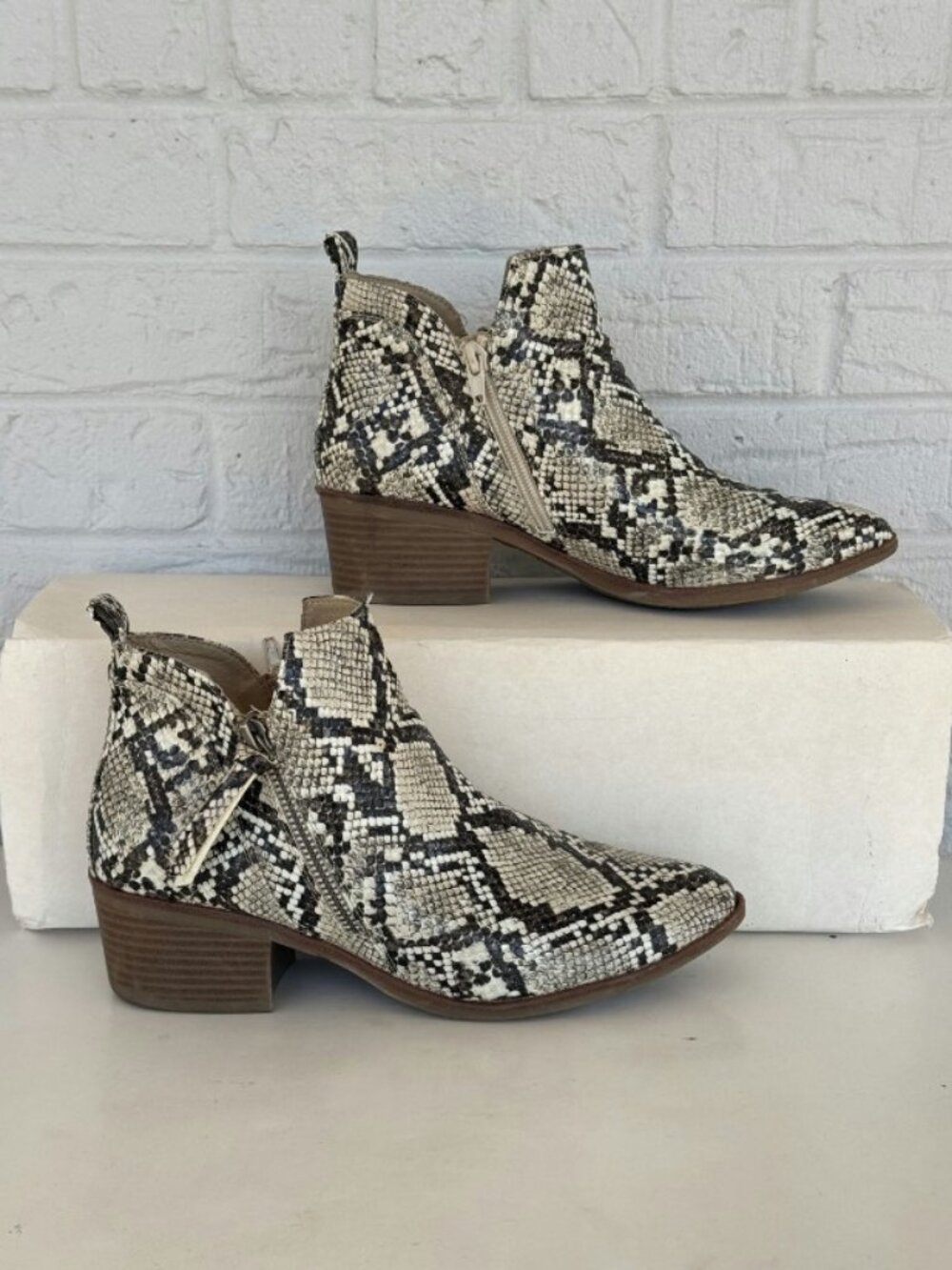 Snake Print MIA Auden Ankle Booties Women's 7.5